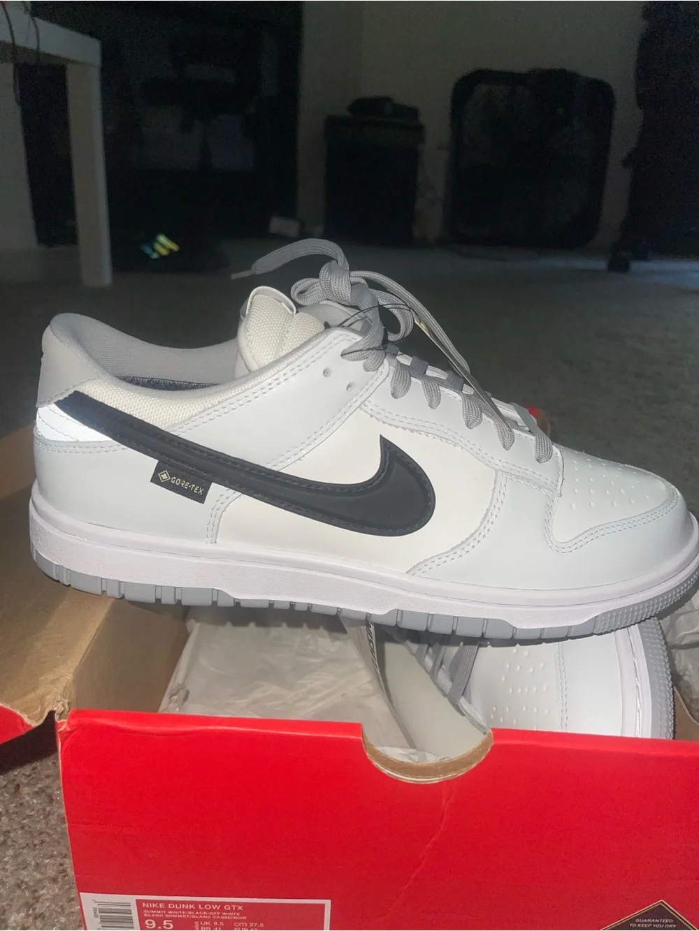 Nike White and Black Dunk Low GORE-TEX Sneakers